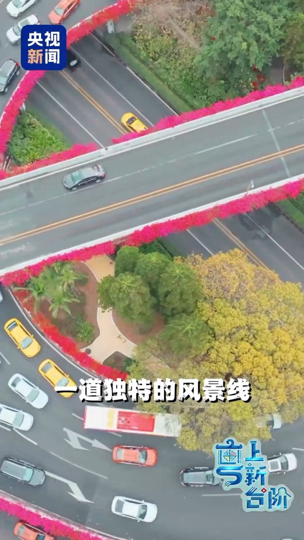 金多多配资 “粤”上新台阶丨春天花会开 但什么花能开一年四季?