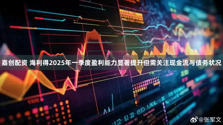 嘉创配资 海利得2025年一季度盈利能力显著提升但需关注现金流与债务状况