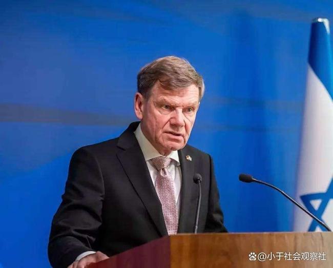 评论员：德外长涉中言论让人大跌眼镜