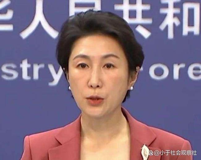 评论员：德外长涉中言论让人大跌眼镜 中方强硬回击