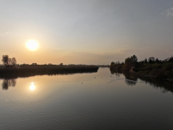 创盈配资 湿地秋语｜桑干水阔 秋韵如画